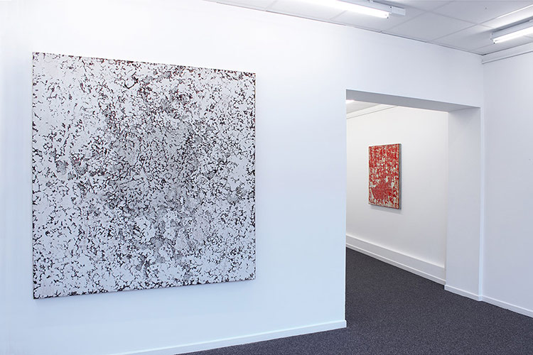 Michael Kravagna - Galerie Détour, Namur, 2013